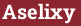 Кирпич с текстом Aselixy