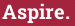 Brick with text Aspire.