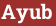 Brick with text Ayub