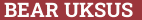 Brick with text BEAR UKSUS