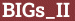 Brick with text BIGs_II