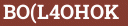 Brick with text BO(L4OHOK