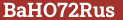 Brick with text BaHO72Rus