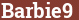 Brick with text Barbie9