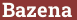 Brick with text Bazena
