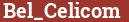Brick with text Bel_Celicom