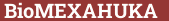 Brick with text BioMEXAHUKA