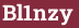 Brick with text Bl1nzy