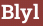 Кирпич с текстом Blyl