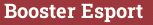 Кирпич с текстом Booster ᴱˢᵖᵒʳᵗ