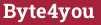 Brick with text Byte4you