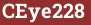 Кирпич с текстом CEye228