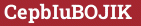 Кирпич с текстом CepbIuBOJIK