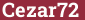 Brick with text Cezar72