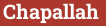 Кирпич с текстом Chapallah