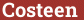 Кирпич с текстом Costeen