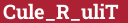 Brick with text Cule_R_uliT