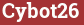 Brick with text Cybot26