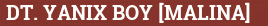 Brick with text DT. YANIX BOY [MALINA]
