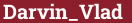 Brick with text Darvin_Vlad