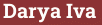 Brick with text Darya Iva