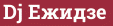 Brick with text Dj Ежидзе