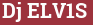 Brick with text Dj ELV1S