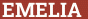 Кирпич с текстом EMELIA