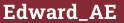 Brick with text Edward_AE