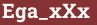 Brick with text Ega_xXx