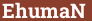 Brick with text EhumaN