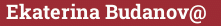 Brick with text Ekaterina Budanov@