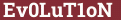 Brick with text Ev0LuT1oN