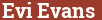 Brick with text Evi Evans