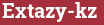 Brick with text Extazy-kz