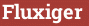 Brick with text Fluxiger