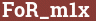Brick with text FoR_m1x