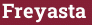 Кирпич с текстом Freyasta
