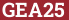 Brick with text GEA25