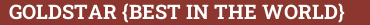 Brick with text GOLDSTAR {BEST IN THE WORLD}