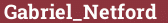 Brick with text Gabriel_Netford