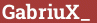 Brick with text GabriuX_