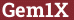 Brick with text Gem1X