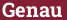 Brick with text Genau