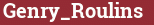 Brick with text Genry_Roulins