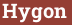Brick with text Hygon