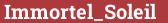 Brick with text Immortel_Soleil