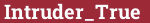 Brick with text Intruder_True