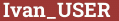 Brick with text Ivan_USER