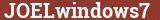 Brick with text JOELwindows7